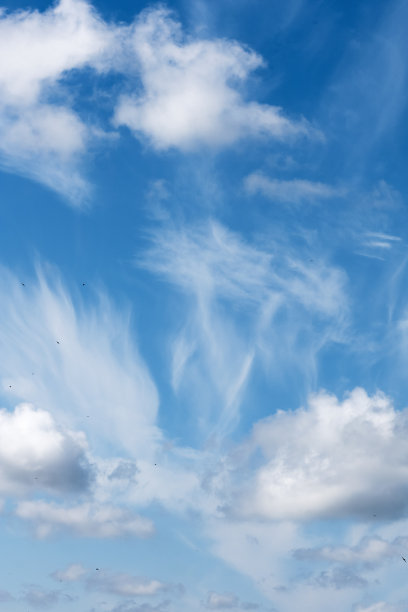 美丽的云与蓝天，小鸟在画框里图片下载