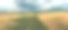 西罗托泽的美丽全景。起伏的小山、田野和森林。田野间的农场。罗佐策被称为波兰的托斯卡纳。Hosznia Ordynacka、波兰图片下载