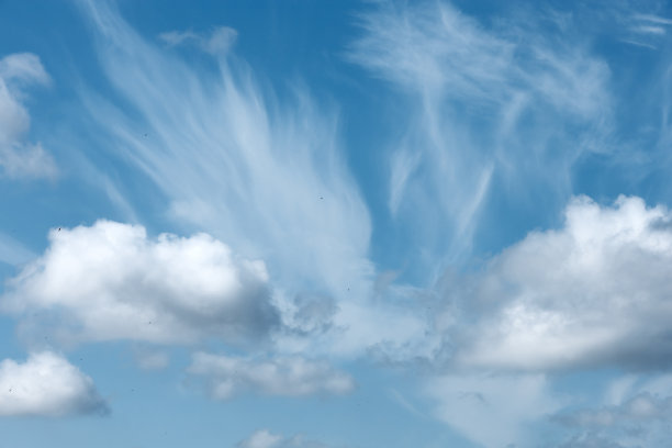 美丽的云与蓝天，小鸟在画框里图片下载