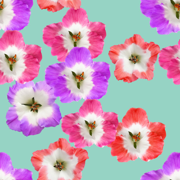 天竺葵。插图，花的纹理。连续复制的无缝模式。花卉背景，照片拼贴纺织品，棉织物。用于墙纸、封面、印刷品图片下载
