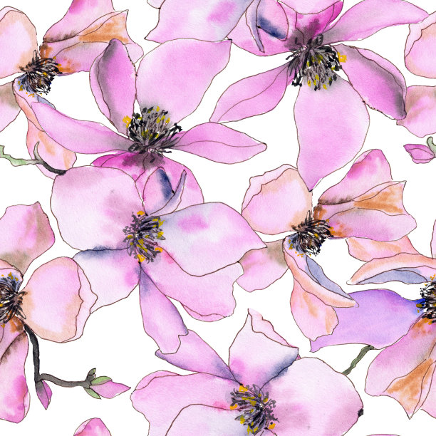 无缝的背景。水彩木兰绘画。植物的重复模式。织物装饰。花卉图案的壁纸图片下载