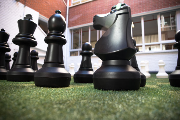 供孩子们玩耍和学习的巨型国际象棋棋子图片下载