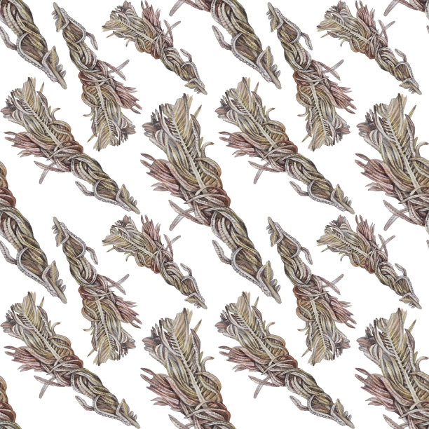 无缝图案水彩干细枝蕨类在白色背景。手绘波西米亚花与叶子装饰。用于墙纸包装的植物棕色植物。婚礼庆典的艺术性质图片下载