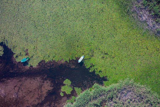 航拍科尼亚Beyşehir，莲花睡莲湖中央的一艘船图片下载