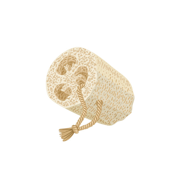 丝瓜海绵图片下载