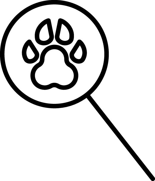 轮廓符号在平面风格。用细线画的现代标志。可编辑的中风。适合广告、书籍、网上商店。放大镜下的狗爪线图标图片下载