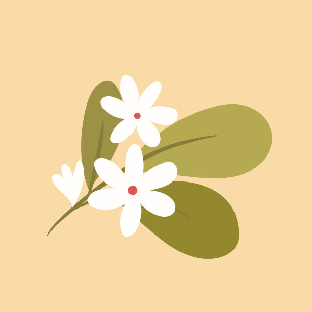 装饰花边孤立图片下载