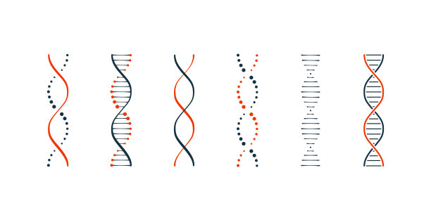 DNA图标设置简单的插图图片下载