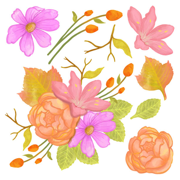 美丽的花束和离开水彩风格图片下载