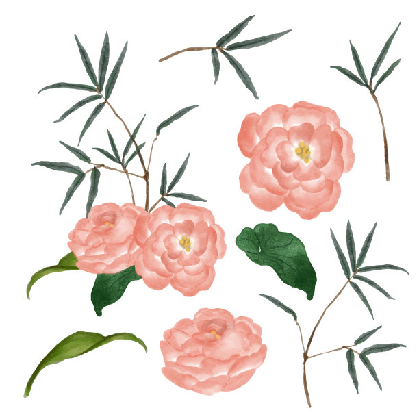 美丽的花束和离开水彩风格图片下载