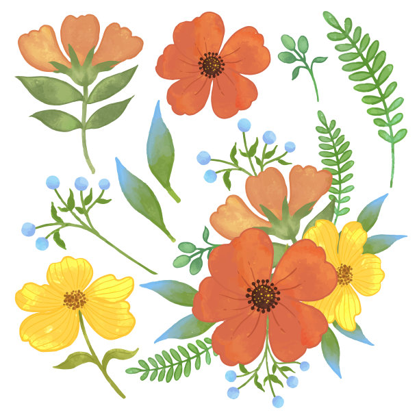 美丽的花束和离开水彩风格图片下载