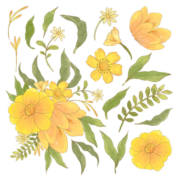 美丽的花束和离开水彩风格图片下载