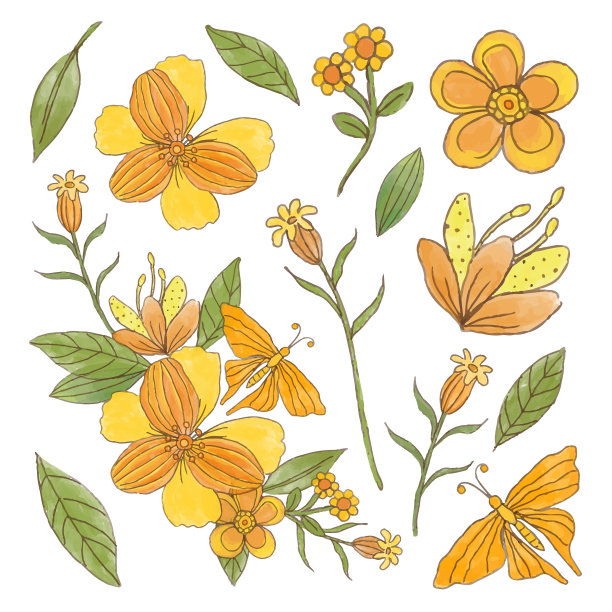 美丽的花束和离开水彩风格图片下载