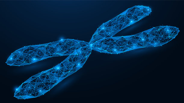 x染色体包含一个DNA螺旋。素材图片