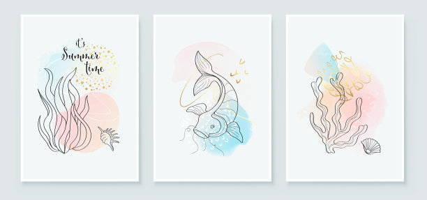 夏季热带墙艺术背景海藻叶图片下载