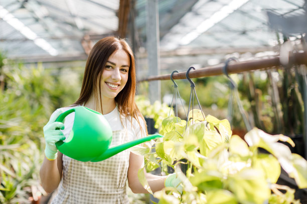 一个年轻的女人站在一个大温室中间，从喷壶里浇花盆。照顾室内植物的概念图片下载