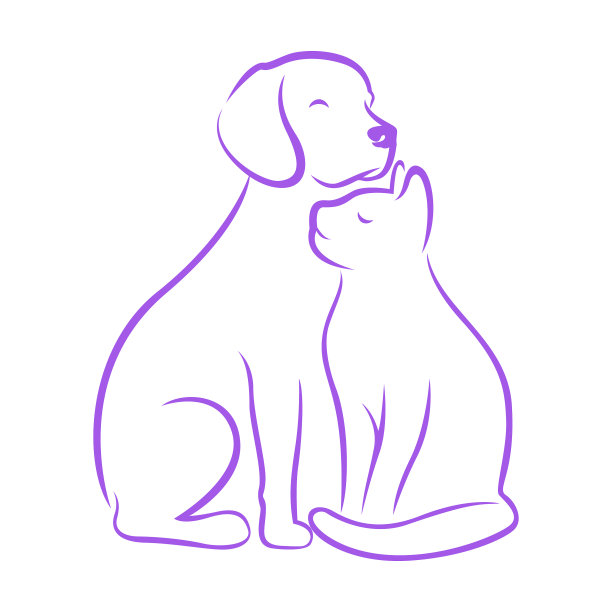 猫和狗图片下载