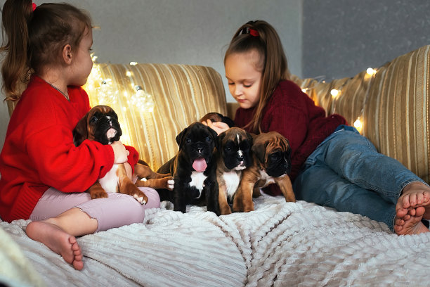 孩子们在家里和小狗玩耍图片下载