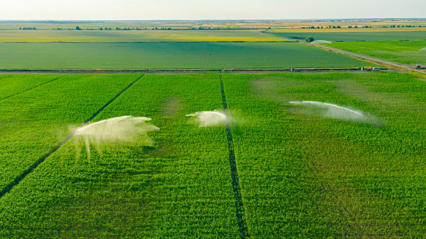 上面介绍了高压农业用水喷射器、喷雾器，喷射出水柱来灌溉玉米等农作物图片下载