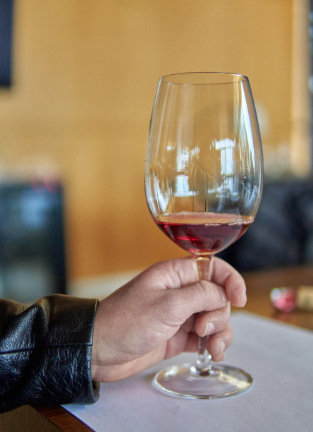 男人手里拿着一杯红酒。度假时参观阿根廷门多萨的酿酒厂。品酒。有选择性的重点图片下载