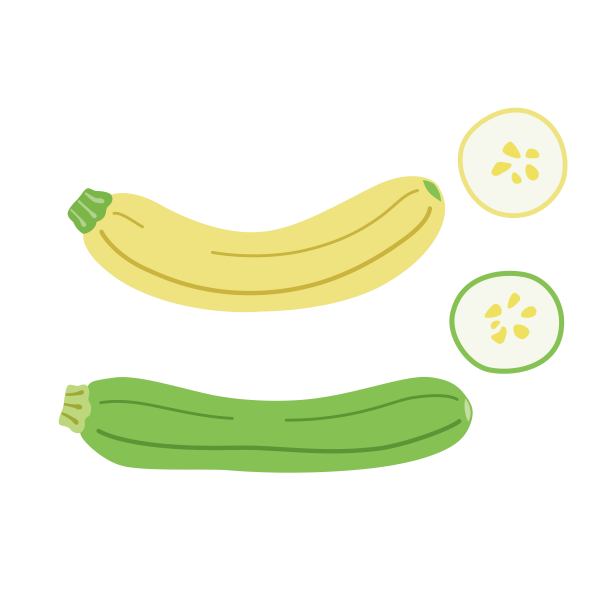 插图的西葫芦图片下载