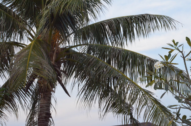 亚洲自然图片下载