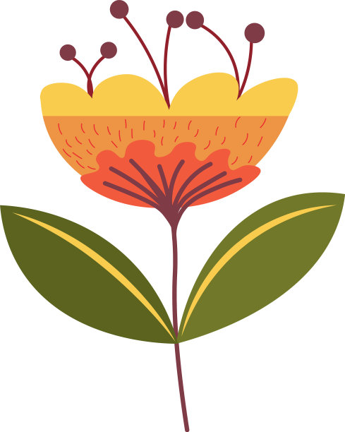 花盛开的叶植物区系植物学花匠图片下载