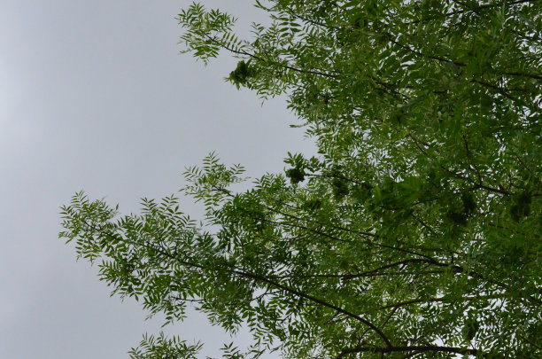 历史、家庭与未来图片下载