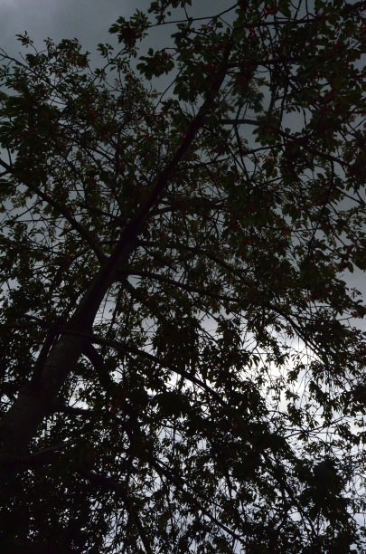 历史、家庭与未来图片下载