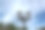 照片美丽的花园灯光在班达亚齐城市公园与蓝天背景，自然摄影图片下载