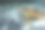 沙滩上的水龟特写图片下载