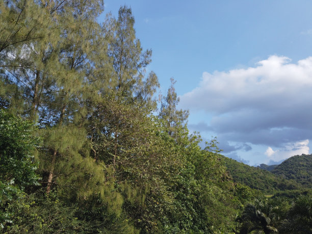 旅行和太阳图片下载