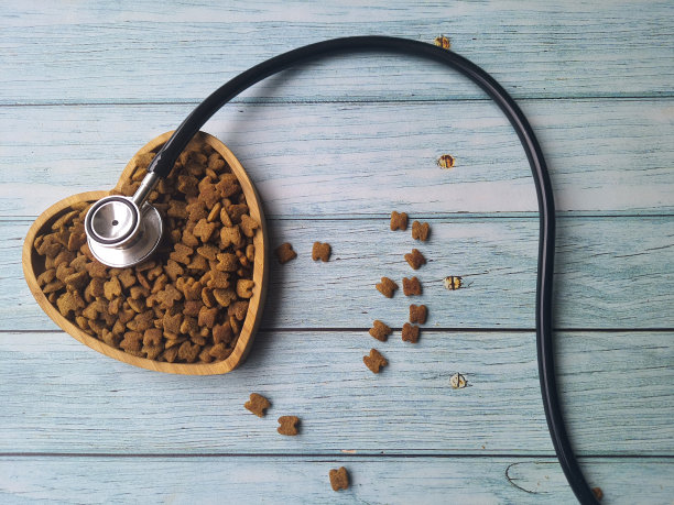 干燥的宠物食品在心形碗与听诊器放在木桌。概念照顾你的宠物。图片下载