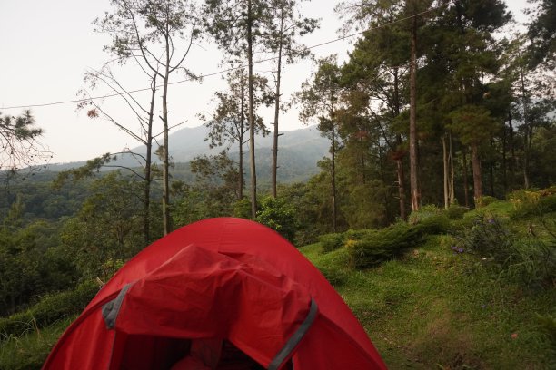夏令营。度过学校假期，在山上露营，回归自然图片下载