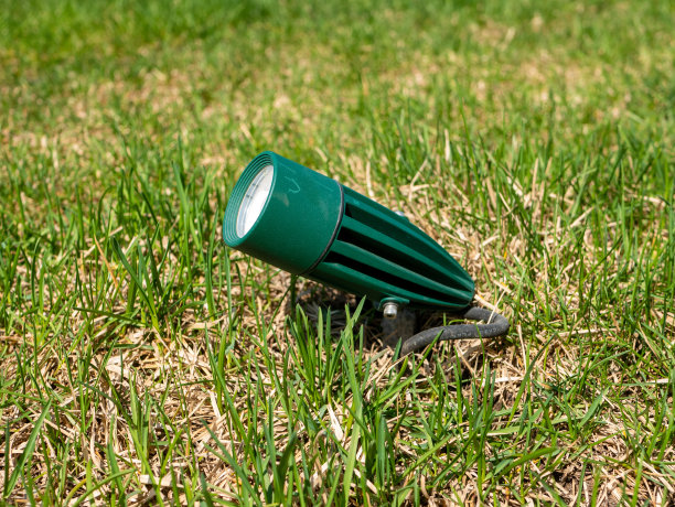 绿色草坪上路灯的侧视图。特写镜头图片下载