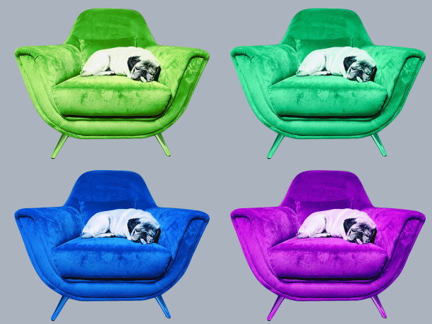 狗在沙发上睡觉图片下载