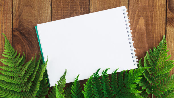 记事本放在木桌上，上面有蕨类植物的叶子。图片下载