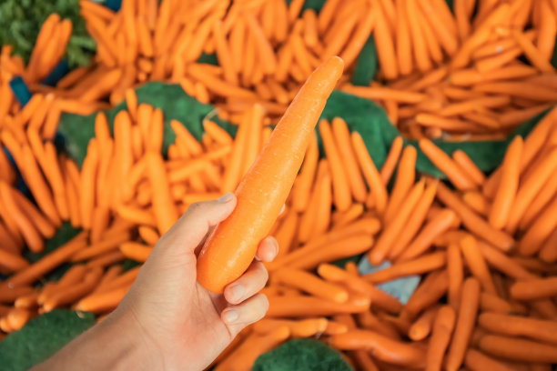 在有机农贸市场，美味完美的胡萝卜在买家手中。选择优质的农业作物图片下载
