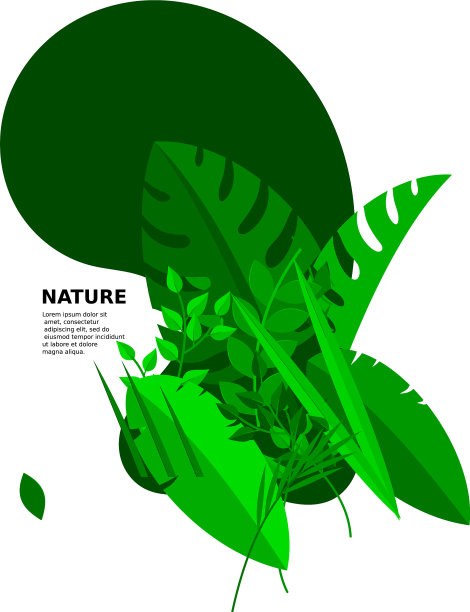 时髦的夏季热带树叶设计图片下载