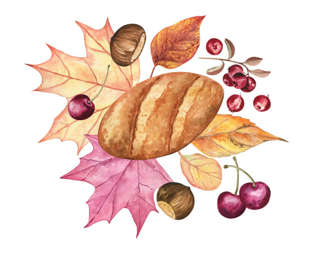 面包，秋叶，栗子和浆果的水彩插图图片下载