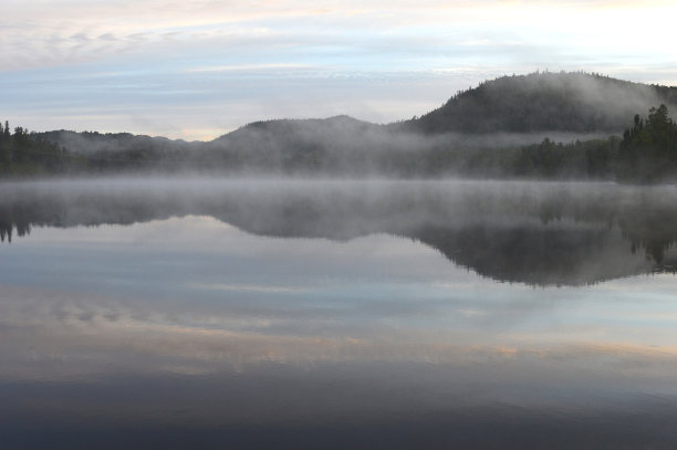 早晨的雾图片下载