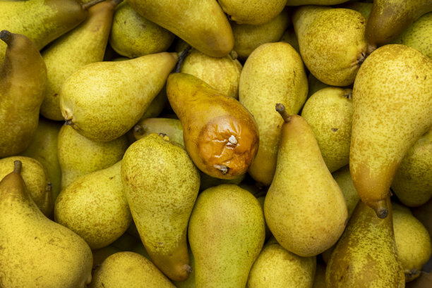 梨在商店图片下载