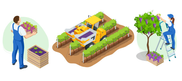 等距园丁，农民，工人照顾图片下载