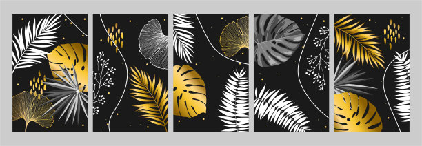 一套热带树叶的海报在黑色的背景上的金色。抽象植物艺术设计与棕榈叶和怪物。图片下载
