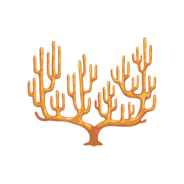 珊瑚礁水下植物，孤立的水生物图片下载