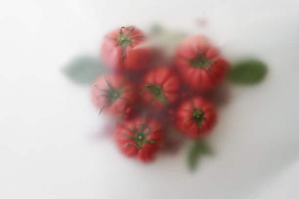 摘要模糊滤镜照片，一组美丽新鲜的红色番茄与绿色罗勒叶图片下载