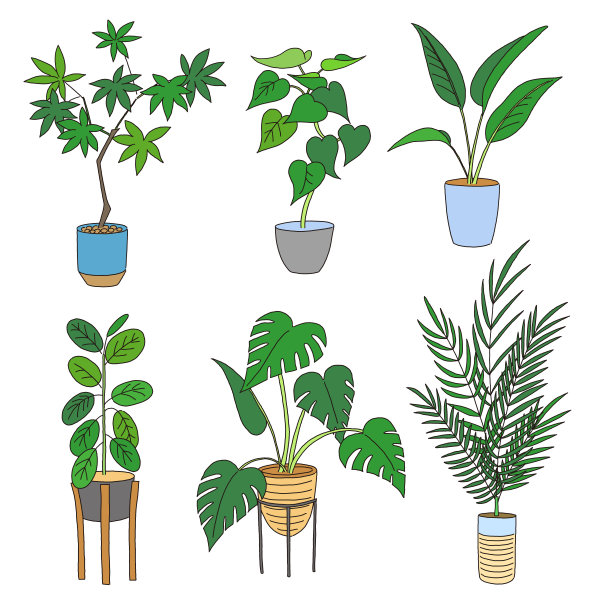 一套室内植物花盆矢量插图图片下载
