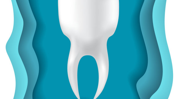 人的牙龈有健康的牙齿和假牙图片下载