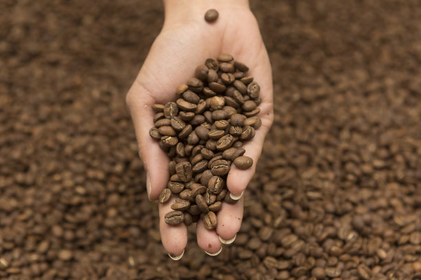 咖啡豆roastery图片下载