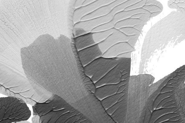 利用罗夏墨迹法在白纸背景上绘制黑白抽象丙烯画的色彩纹理图片下载